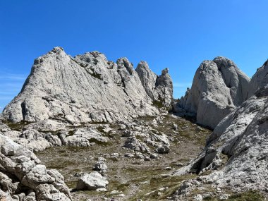 Tulove 'un Rocky sırtı veya Tulovice' nin karst dağı zirvesi - Velebit Doğa Parkı, Hırvatistan (Stjenoviti greben Tulove Grede ili krski planinski vrh Tulovice - Park Velebit, Hrvatska)