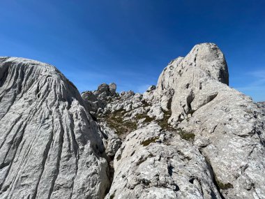 Tulove 'un Rocky sırtı veya Tulovice' nin karst dağı zirvesi - Velebit Doğa Parkı, Hırvatistan (Stjenoviti greben Tulove Grede ili krski planinski vrh Tulovice - Park Velebit, Hrvatska)