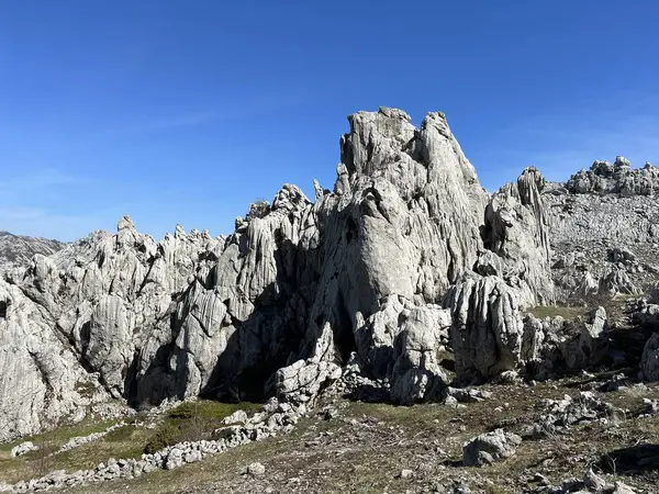 Tulove 'un Rocky sırtı veya Tulovice' nin karst dağı zirvesi - Velebit Doğa Parkı, Hırvatistan (Stjenoviti greben Tulove Grede ili krski planinski vrh Tulovice - Park Velebit, Hrvatska)