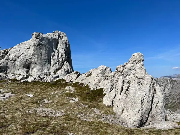 Tulove 'un Rocky sırtı veya Tulovice' nin karst dağı zirvesi - Velebit Doğa Parkı, Hırvatistan (Stjenoviti greben Tulove Grede ili krski planinski vrh Tulovice - Park Velebit, Hrvatska)