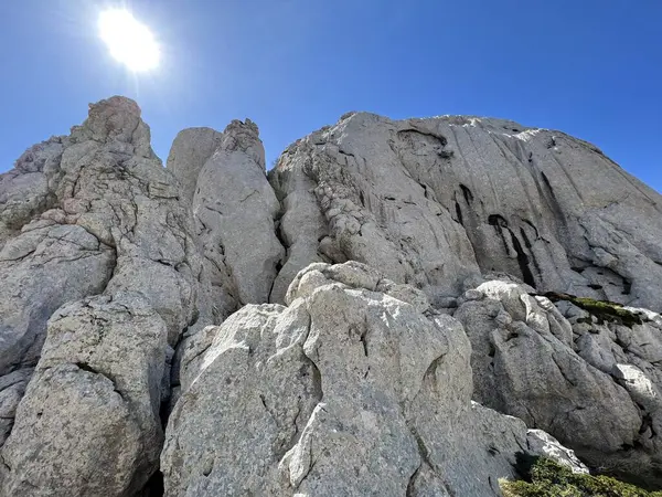 Tulove 'un Rocky sırtı veya Tulovice' nin karst dağı zirvesi - Velebit Doğa Parkı, Hırvatistan (Stjenoviti greben Tulove Grede ili krski planinski vrh Tulovice - Park Velebit, Hrvatska)