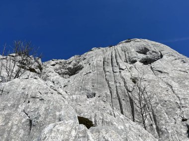 Güney Velebit, Jasenice (Velebit Doğa Parkı, Hırvatistan) - Kalksteinfelsen im suedlichen Velebit (Naturpark Velebit, Kroatien) - Vapnenacke stijene na juznom Velebitu (Hrvatska)