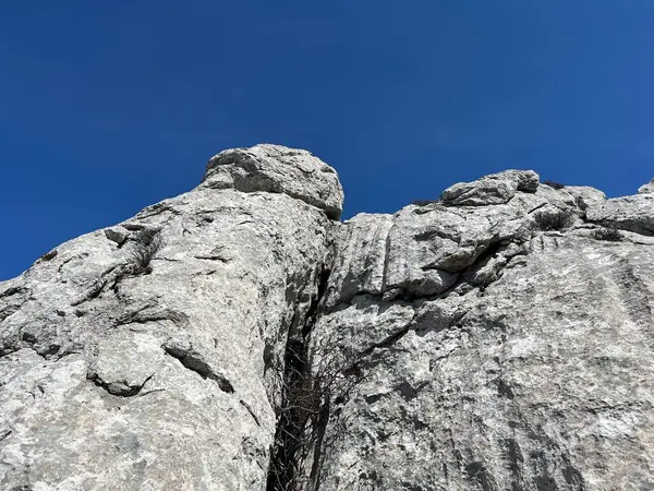 Güney Velebit, Jasenice (Velebit Doğa Parkı, Hırvatistan) - Kalksteinfelsen im suedlichen Velebit (Naturpark Velebit, Kroatien) - Vapnenacke stijene na juznom Velebitu (Hrvatska)