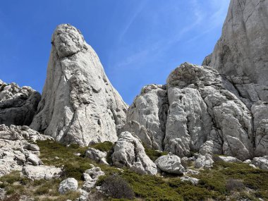 Tulove 'un Rocky sırtı veya Tulovice' nin karst dağı zirvesi - Velebit Doğa Parkı, Hırvatistan (Stjenoviti greben Tulove Grede ili krski planinski vrh Tulovice - Park Velebit, Hrvatska)