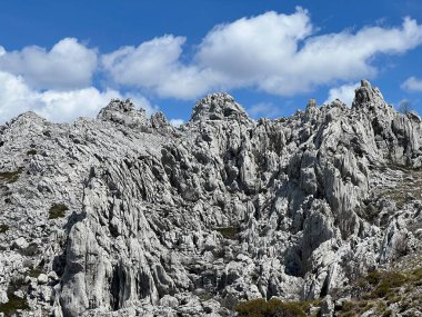 Tulove 'un Rocky sırtı veya Tulovice' nin karst dağı zirvesi - Velebit Doğa Parkı, Hırvatistan (Stjenoviti greben Tulove Grede ili krski planinski vrh Tulovice - Park Velebit, Hrvatska)