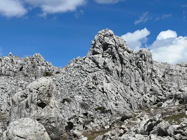 Tulove 'un Rocky sırtı veya Tulovice' nin karst dağı zirvesi - Velebit Doğa Parkı, Hırvatistan (Stjenoviti greben Tulove Grede ili krski planinski vrh Tulovice - Park Velebit, Hrvatska)