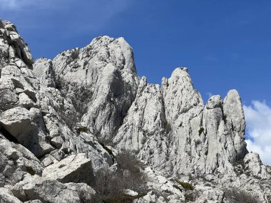 Tulove 'un Rocky sırtı veya Tulovice' nin karst dağı zirvesi - Velebit Doğa Parkı, Hırvatistan (Stjenoviti greben Tulove Grede ili krski planinski vrh Tulovice - Park Velebit, Hrvatska)