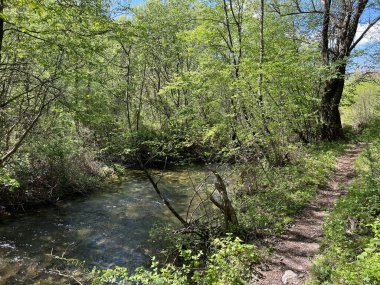 Zrmanja Nehri 'nin üst tabakası ve kaynağından hemen sonra (Velebit Doğa Parkı, Hırvatistan) - der Oberlauf des Flusses Zrmanja und unmittelbar nach der Quelle (Naturpark Velebit, Kroatien) - Gornji tok rijeke Zrmanje nakon izvora (Hrvatska)