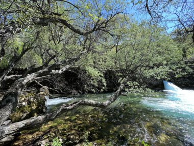 Zrmanja Nehri 'nin üst tabakası ve kaynağından hemen sonra (Velebit Doğa Parkı, Hırvatistan) - der Oberlauf des Flusses Zrmanja und unmittelbar nach der Quelle (Naturpark Velebit, Kroatien) - Gornji tok rijeke Zrmanje nakon izvora (Hrvatska)