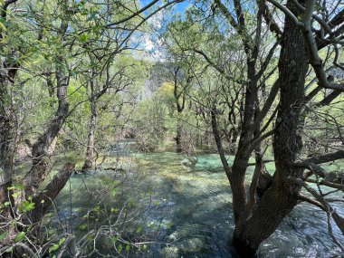 Zrmanja Nehri 'nin üst tabakası ve kaynağından hemen sonra (Velebit Doğa Parkı, Hırvatistan) - der Oberlauf des Flusses Zrmanja und unmittelbar nach der Quelle (Naturpark Velebit, Kroatien) - Gornji tok rijeke Zrmanje nakon izvora (Hrvatska)
