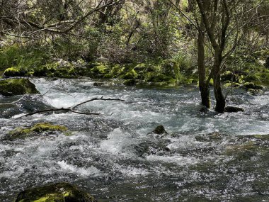 Zrmanja Nehri 'nin üst tabakası ve kaynağından hemen sonra (Velebit Doğa Parkı, Hırvatistan) - der Oberlauf des Flusses Zrmanja und unmittelbar nach der Quelle (Naturpark Velebit, Kroatien) - Gornji tok rijeke Zrmanje nakon izvora (Hrvatska)