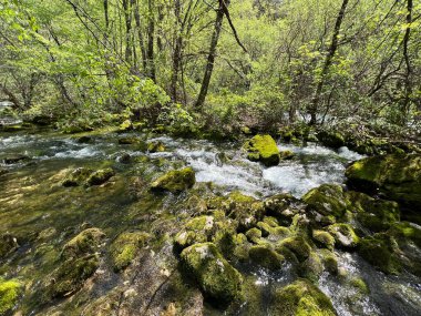 Zrmanja Nehri 'nin üst tabakası ve kaynağından hemen sonra (Velebit Doğa Parkı, Hırvatistan) - der Oberlauf des Flusses Zrmanja und unmittelbar nach der Quelle (Naturpark Velebit, Kroatien) - Gornji tok rijeke Zrmanje nakon izvora (Hrvatska)