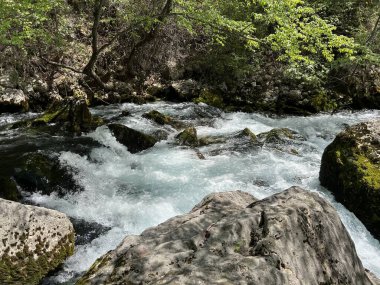 Zrmanja Nehri 'nin üst tabakası ve kaynağından hemen sonra (Velebit Doğa Parkı, Hırvatistan) - der Oberlauf des Flusses Zrmanja und unmittelbar nach der Quelle (Naturpark Velebit, Kroatien) - Gornji tok rijeke Zrmanje nakon izvora (Hrvatska)