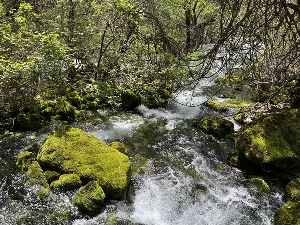 Zrmanja Nehri 'nin üst tabakası ve kaynağından hemen sonra (Velebit Doğa Parkı, Hırvatistan) - der Oberlauf des Flusses Zrmanja und unmittelbar nach der Quelle (Naturpark Velebit, Kroatien) - Gornji tok rijeke Zrmanje nakon izvora (Hrvatska)