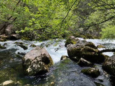 Zrmanja (Velebit Doğa Parkı, Hırvatistan) - die Quelle des Flusses Zrmanja (Naturpark Velebit, Kroatien) - Izvor Zrmanje ili Vrelo Zrmanje (Park prirode Velebit, Hrvatska)