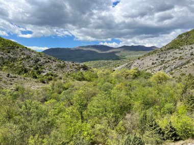 Zrmanja Nehri 'nin (Velebit Doğa Parkı, Hırvatistan) kaynak vadisinde incelenen orman ve bitki örtüsü - Prorijedjena suma i vejacija u dolini izvora rijeke Zrmanje (Park Velebit, Hrvatska)