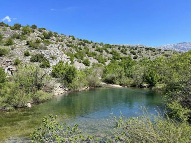 Zrmanja Nehri (Velebit Doğa Parkı, Hırvatistan) - Potok Dabarnica, desna pritoka rijeke Zrmanje (Park prirode Velebit, Hrvatska) - Bach Dabarnica, Nebenfluss des Flusses Zrmanja (Naturpark Velebit, Kroatien)