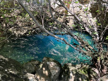 Dabarnica deresinin kaynağı, Zrmanja Nehri 'nin sağ kolu (Velebit Doğa Parkı, Hırvatistan) - Izvor Potoka Dabarnica ili vrelo Dabarnice, desne pritoke rijeke Zrmanje (Park prirode Velebit, Hrvatska) - Quelle von Dabarnica (Kroatien))
