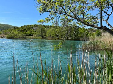Berberov buk şelalesi yakınlarındaki Nehir Zrmanja, Muskovci (Velebit Doğa Parkı, Hırvatistan) - Naehe des Wasserfalls Berberov buk (Naturpark Velebit, Kroatien) - Rijeka Zrmanja kod şaplak Berberov buk (Park prirode Velebit, Hrvatska buk))