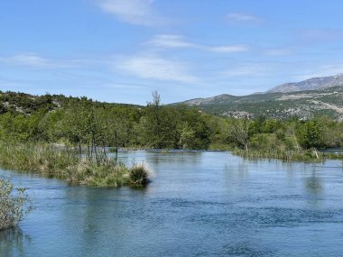 Berberov buk şelalesi yakınlarındaki Nehir Zrmanja, Muskovci (Velebit Doğa Parkı, Hırvatistan) - Naehe des Wasserfalls Berberov buk (Naturpark Velebit, Kroatien) - Rijeka Zrmanja kod şaplak Berberov buk (Park prirode Velebit, Hrvatska buk))