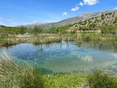 Berberov buk şelalesi yakınlarındaki Nehir Zrmanja, Muskovci (Velebit Doğa Parkı, Hırvatistan) - Naehe des Wasserfalls Berberov buk (Naturpark Velebit, Kroatien) - Rijeka Zrmanja kod şaplak Berberov buk (Park prirode Velebit, Hrvatska buk))