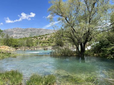 Berberov buk şelalesi yakınlarındaki Nehir Zrmanja, Muskovci (Velebit Doğa Parkı, Hırvatistan) - Naehe des Wasserfalls Berberov buk (Naturpark Velebit, Kroatien) - Rijeka Zrmanja kod şaplak Berberov buk (Park prirode Velebit, Hrvatska buk))