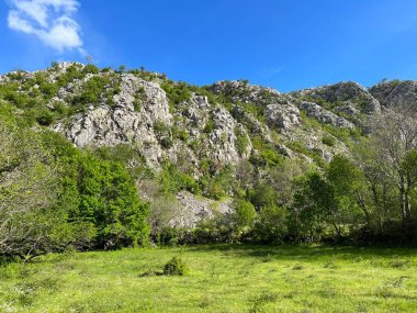 Krupa nehir kanyonu, Zrmanja 'nın sağ kolu (Velebit Doğa Parkı, Hırvatistan) - Schlucht des Flusses Krupa, rechter Nebenfluss des Zrmanja (Naturpark Velebit, Kroatien) - Kanjon rijeke Krupe, desne pritoke Zrmanje (Park prirode Velebit, Hrvatska)