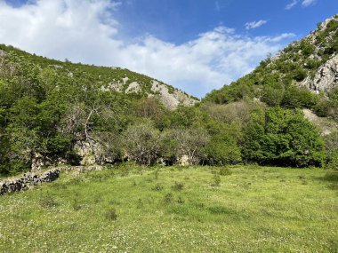 Krupa nehir kanyonu, Zrmanja 'nın sağ kolu (Velebit Doğa Parkı, Hırvatistan) - Schlucht des Flusses Krupa, rechter Nebenfluss des Zrmanja (Naturpark Velebit, Kroatien) - Kanjon rijeke Krupe, desne pritoke Zrmanje (Park prirode Velebit, Hrvatska)