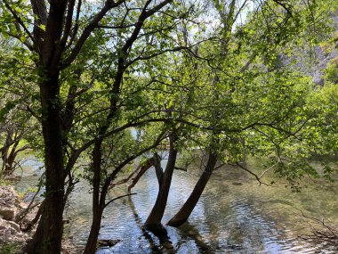 Krupa Nehri, Zrmanja 'nın sağ kolu (Velebit Doğa Parkı, Hırvatistan) - Fluss Krupa, rechter Nebenfluss der Zrmanja (Naturpark Velebit, Kroatien) - Rijeka Krupa, desna pritoka Zrmanje (Park pritoka Velebit, Hrvatska)