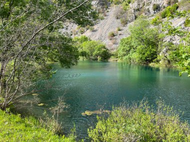 Krupa Nehri, Zrmanja 'nın sağ kolu (Velebit Doğa Parkı, Hırvatistan) - Fluss Krupa, rechter Nebenfluss der Zrmanja (Naturpark Velebit, Kroatien) - Rijeka Krupa, desna pritoka Zrmanje (Park pritoka Velebit, Hrvatska)