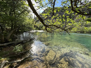 Krupa Nehri, Zrmanja 'nın sağ kolu (Velebit Doğa Parkı, Hırvatistan) - Fluss Krupa, rechter Nebenfluss der Zrmanja (Naturpark Velebit, Kroatien) - Rijeka Krupa, desna pritoka Zrmanje (Park pritoka Velebit, Hrvatska)