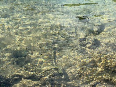 Krupa Nehri, Zrmanja 'nın sağ kolu (Velebit Doğa Parkı, Hırvatistan) - Fluss Krupa, rechter Nebenfluss der Zrmanja (Naturpark Velebit, Kroatien) - Rijeka Krupa, desna pritoka Zrmanje (Park pritoka Velebit, Hrvatska)
