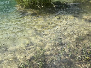 Krupa Nehri, Zrmanja 'nın sağ kolu (Velebit Doğa Parkı, Hırvatistan) - Fluss Krupa, rechter Nebenfluss der Zrmanja (Naturpark Velebit, Kroatien) - Rijeka Krupa, desna pritoka Zrmanje (Park pritoka Velebit, Hrvatska)