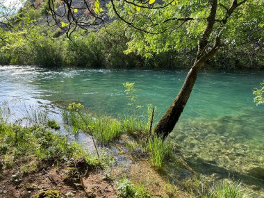 Krupa Nehri, Zrmanja 'nın sağ kolu (Velebit Doğa Parkı, Hırvatistan) - Fluss Krupa, rechter Nebenfluss der Zrmanja (Naturpark Velebit, Kroatien) - Rijeka Krupa, desna pritoka Zrmanje (Park pritoka Velebit, Hrvatska)