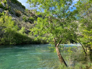 Krupa Nehri, Zrmanja 'nın sağ kolu (Velebit Doğa Parkı, Hırvatistan) - Fluss Krupa, rechter Nebenfluss der Zrmanja (Naturpark Velebit, Kroatien) - Rijeka Krupa, desna pritoka Zrmanje (Park pritoka Velebit, Hrvatska)