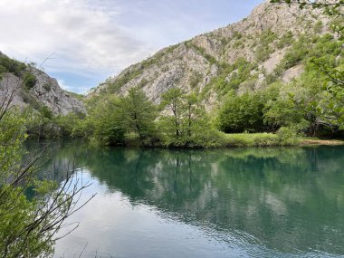 Krupa Nehri, Zrmanja 'nın sağ kolu (Velebit Doğa Parkı, Hırvatistan) - Fluss Krupa, rechter Nebenfluss der Zrmanja (Naturpark Velebit, Kroatien) - Rijeka Krupa, desna pritoka Zrmanje, Golubiç (Park prirode Velebit, Hrvatska, Hrvatska)