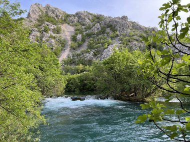 Krupa Nehri, Zrmanja 'nın sağ kolu (Velebit Doğa Parkı, Hırvatistan) - Fluss Krupa, rechter Nebenfluss der Zrmanja (Naturpark Velebit, Kroatien) - Rijeka Krupa, desna pritoka Zrmanje, Golubiç (Park prirode Velebit, Hrvatska, Hrvatska)