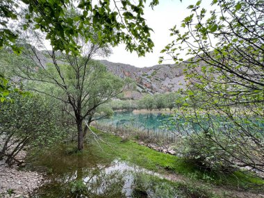 Krupa Nehri, Zrmanja 'nın sağ kolu (Velebit Doğa Parkı, Hırvatistan) - Fluss Krupa, rechter Nebenfluss der Zrmanja (Naturpark Velebit, Kroatien) - Rijeka Krupa, desna pritoka Zrmanje, Golubiç (Park prirode Velebit, Hrvatska, Hrvatska)