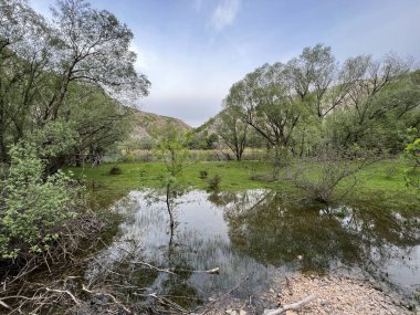 Krupa Nehri, Zrmanja 'nın sağ kolu (Velebit Doğa Parkı, Hırvatistan) - Fluss Krupa, rechter Nebenfluss der Zrmanja (Naturpark Velebit, Kroatien) - Rijeka Krupa, desna pritoka Zrmanje, Golubiç (Park prirode Velebit, Hrvatska, Hrvatska)