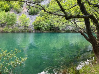 Zrmanja Nehri (Hırvatistan) - Zrmanja-Fluss nach der Muendung des Flusses Krupa (Naturpark Velebit, Kroatien) - Rijeka Zrmanja nakon usca rijeke Krupe (Park prirode Velebit, Hrvatska)
