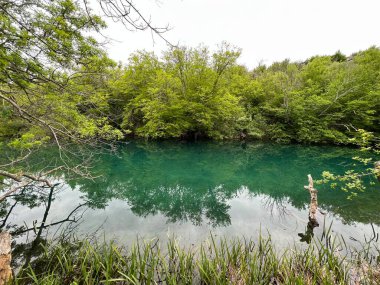Krupa Nehri ve Krupa Manastırı (Velebit Doğa Parkı, Hırvatistan) - Rijeka Krupa i njezin tok na podrucju manastira Krupa (Park prirode Velebit, Hrvatska)