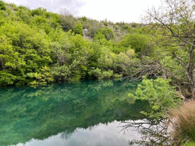 Krupa Nehri ve Krupa Manastırı (Velebit Doğa Parkı, Hırvatistan) - Rijeka Krupa i njezin tok na podrucju manastira Krupa (Park prirode Velebit, Hrvatska)