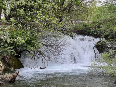 Hırvatistan 'daki Krupa Manastırı' nın yanındaki Krupa Nehri 'ndeki Şelale (Velebit Doğa Parkı, Hırvatistan) - Krupi manastira Krupa' yı gözlemiştir (Park prirode Velebit, Hrvatska)