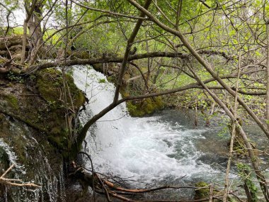 Hırvatistan 'daki Krupa Manastırı' nın yanındaki Krupa Nehri 'ndeki Şelale (Velebit Doğa Parkı, Hırvatistan) - Krupi manastira Krupa' yı gözlemiştir (Park prirode Velebit, Hrvatska)