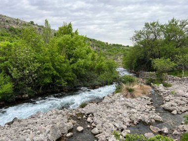 Krupa Nehri ve aynı adı taşıyan (Velebit Doğa Parkı, Hırvatistan) köyündeki baharın eteğindeki rotası - Rijeka Krupa i njezin tok podno izvora u istoimenom naselju (Park prirode Velebit, Hrvatska)