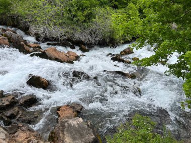 Krupa Nehri 'nin (Velebit Doğa Parkı, Hırvatistan) ilk baharı - die Karstquelle des Flusses Krupa oder Krupa-Quelle (Naturpark Velebit, Kroatien) - Vrelo Krupe ili izvor rijeke Krupe (Hrvatska)