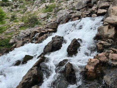 Krupa Nehri 'nin (Velebit Doğa Parkı, Hırvatistan) ilk baharı - die Karstquelle des Flusses Krupa oder Krupa-Quelle (Naturpark Velebit, Kroatien) - Vrelo Krupe ili izvor rijeke Krupe (Hrvatska)