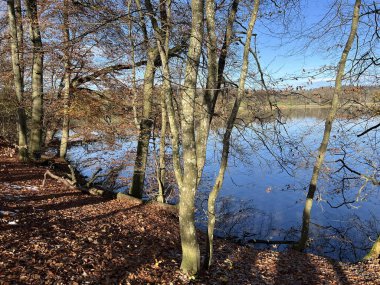 İsviçre Katzensee gölleri (Katzensee gölleri), Regensdorf - Lenzerheide - Zürih Kantonu (Zuerich), İsviçre (Schweiz)
