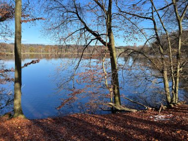 İsviçre Katzensee gölleri (Katzensee gölleri), Regensdorf - Lenzerheide - Zürih Kantonu (Zuerich), İsviçre (Schweiz)