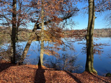 İsviçre Katzensee gölleri (Katzensee gölleri), Regensdorf - Lenzerheide - Zürih Kantonu (Zuerich), İsviçre (Schweiz)